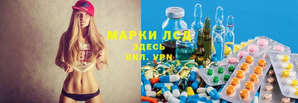 ешки Алзамай