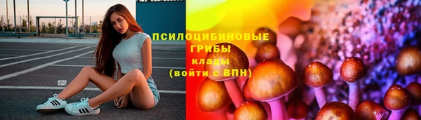 ECSTASY Алексин