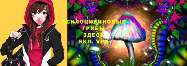 ешки Алзамай