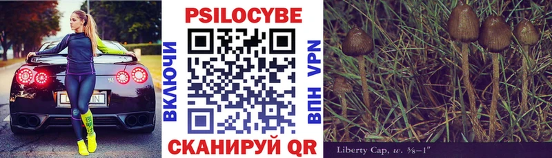 Галлюциногенные грибы Psilocybine cubensis  Артёмовский 